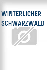 Winterlicher Schwarzwald