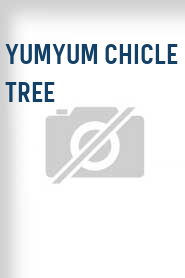 YumYum Chicle Tree